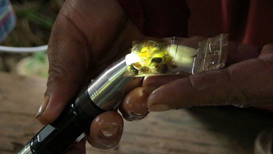 During a trip to Chanthaburi, a specialized light was used to examine the color and translucence of a gemstone. These are the kinds of skills that you’ll learn and that will make you a professional gemologist.