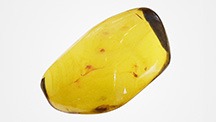 Figure 1. This clean piece of tumbled green amber from Ethiopia, measuring approximately 5.5–6.0 × 2.8–3.5 cm, displays flow structures and some inclusions. Photo by Cristiano Brigida; courtesy of Rainbow King Solomon Mines. Figure 1. This clean piece of tumbled green amber from Ethiopia, measuring approximately 5.5–6.0 × 2.8–3.5 cm, displays flow structures and some inclusions. Photo by Cristiano Brigida; courtesy of Rainbow King Solomon Mines.