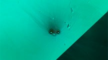 Figure 2. Top view of an altered etch tube in tourmaline resembling the face of a bird with a fuzzy tuft. Photomicrograph by Jamie Price; field of view 1.48 mm.