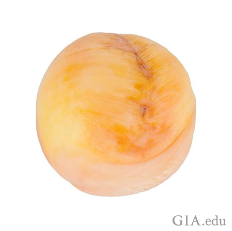 Figure: 1 - The 52.49 carat "pearl" as submitted by the client. Note the grooved area towards the top. The banding that meets this feature forms a herring-bone pattern. Photograph: Adirote Sripradist. Figure: 1 - The 52.49 carat "pearl" as submitted by the client. Note the grooved area towards the top. The banding that meets this feature forms a herring-bone pattern. Photograph: Adirote Sripradist.