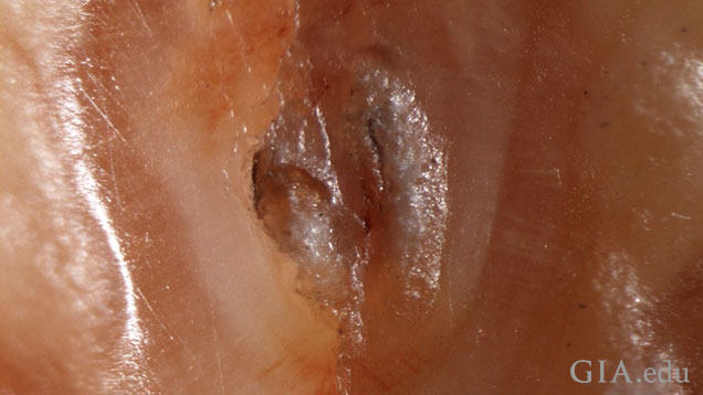Figure: 3 - An area within the surface groove revealed small concentrated orange coloration along fine surface reaching fractures. These are particularly evident towards the top and bottom of this image. Photomicrograph: Nick Sturman. Magnified 90x. Figure: 3 - An area within the surface groove revealed small concentrated orange coloration along fine surface reaching fractures. These are particularly evident towards the top and bottom of this image. Photomicrograph: Nick Sturman. Magnified 90x.