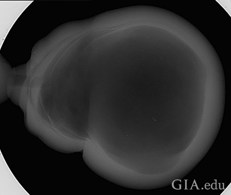Figure 5: The large internal void with some structural walls towards the outer border as revealed by microradiography.