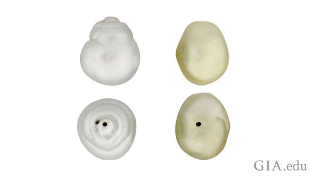 Figure 1: The external appearance (side‐on and down the drill‐holes) of the two pearls submitted for routine identification.