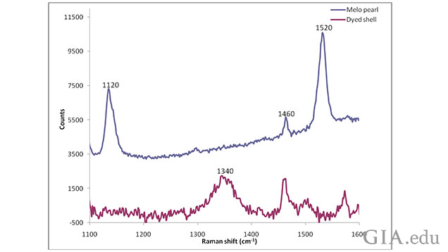 Figure: 6 - Enlarged area between 1100 cm-1 and 1600 cm-1 showing the polyenic peak region for both samples shown in Figure 5. The polyenic peaks in the naturally colored Melo species pearl are clearly visible in the top spectrum and completely absent from the lower spectrum belonging to the imitation “pearl” discussed in this article. Figure: 6 - Enlarged area between 1100 cm-1 and 1600 cm-1 showing the polyenic peak region for both samples shown in Figure 5. The polyenic peaks in the naturally colored Melo species pearl are clearly visible in the top spectrum and completely absent from the lower spectrum belonging to the imitation “pearl” discussed in this article.