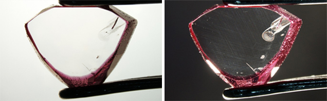 Synthetic Ruby Overgrowth on Natural Corundum. 这张照片显示的是在透射光（左）和暗场照明光（右）中进行激光剥蚀电感耦合等离子体质谱仪 (LA-ICP-MS) 分析的晶片之一。 可以看到合成石附生的厚度和天然晶种中的内含物。 照片由 GIA 的 J. Muyal 提供。