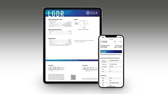 New LGDR Dossier Show on Device