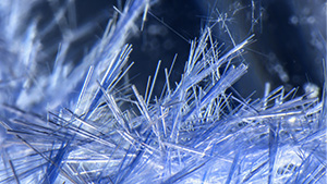 Spring 2023 Micro-World Banner Spring 2023 Micro-World Banner