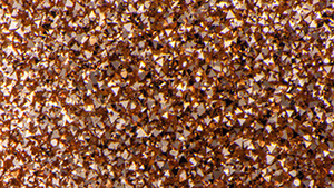 Spring 2024 Micro-World Banner Spring 2024 Micro-World Banner