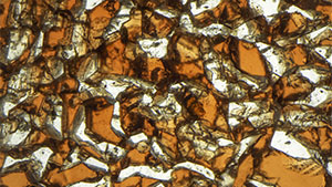 Summer 2023 Micro-World Banner Summer 2023 Micro-World Banner