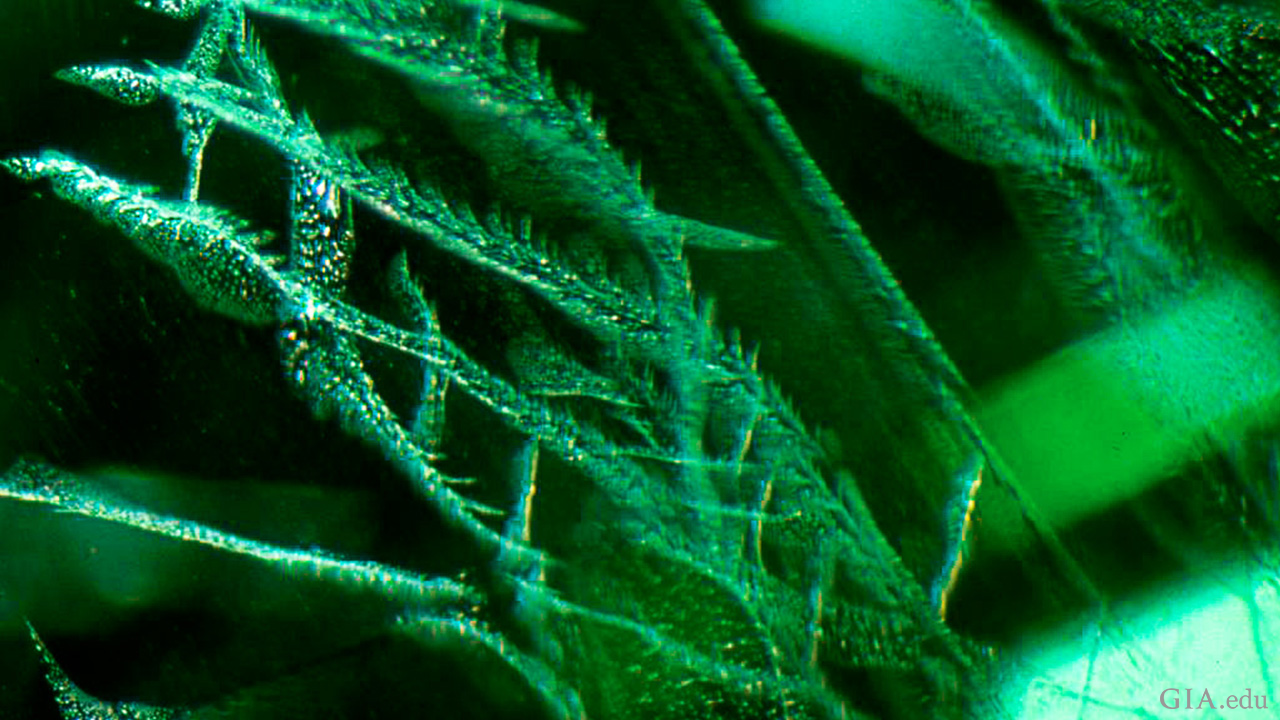 211082-feather-inclusions-1280x720.png