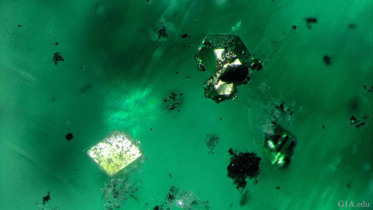 211090-inclusion-suite-emerald-1280x720.png