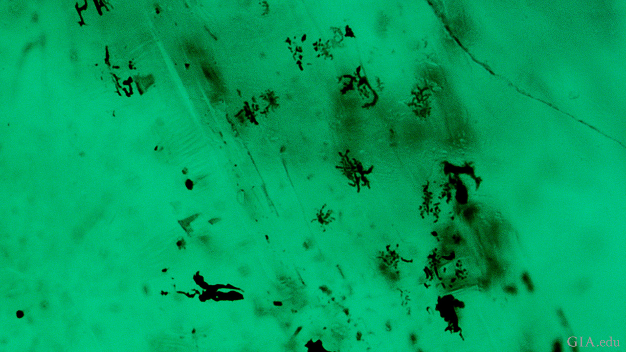 211091-skeletal-platy-crystals-1280x720.png