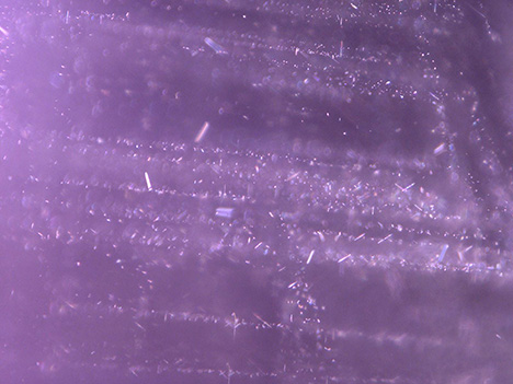 Figure 4. Oriented short needles in the spinel. Photomicrograph by Jinlin Wu; field of view 1.10 mm. Figure 4. Oriented short needles in the spinel. Photomicrograph by Jinlin Wu; field of view 1.10 mm.