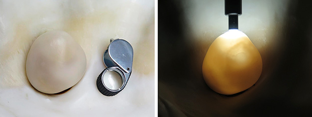 Bangkok blister pearl with two phases visible.