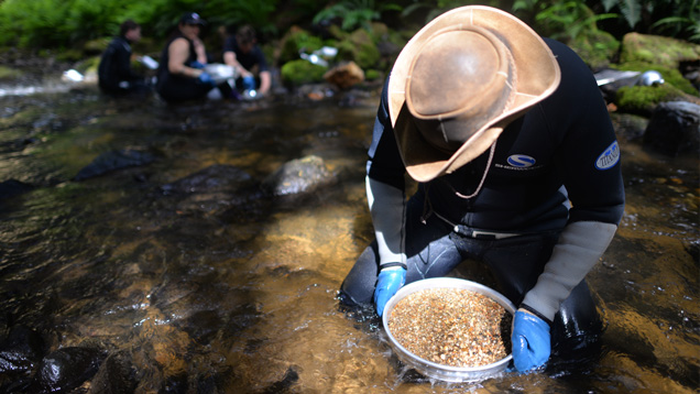 Vincent Pardieu, GIA’s senior manager of field gemology, searches for sapphires in a creek near Weldborough in North Eastern Tasmania. Vincent Pardieu, GIA’s senior manager of field gemology, searches for sapphires in a creek near Weldborough in North Eastern Tasmania.