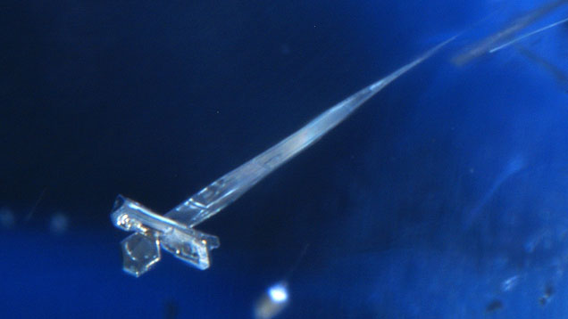 Platinum Crystal in Chatham Synthetic Sapphire 636x358 Platinum Crystal in Chatham Synthetic Sapphire 636x358