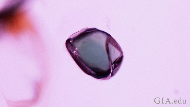 An oval shaped mineral inclusion in a ruby. An oval shaped mineral inclusion in a ruby.