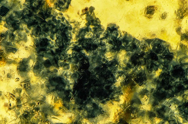 A selection of photomicrographs of spinel as an inclusion. A selection of photomicrographs of spinel as an inclusion.
