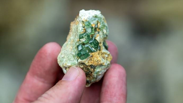 Hand holding demantoid garnet rough in matrix. Hand holding demantoid garnet rough in matrix.