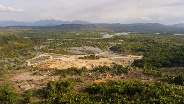 Aerial view of demantoid mine in mangrove forests Aerial view of demantoid mine in mangrove forests