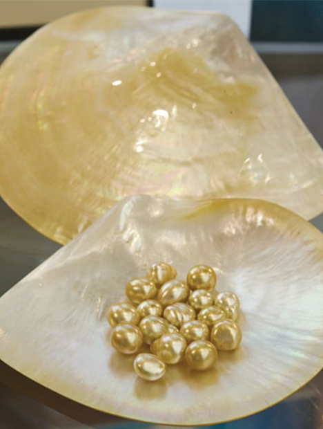 Pearls Pearls