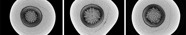 Pearl’s μ-CT images