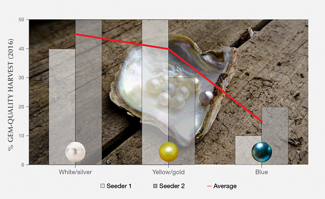 Proportions of bodycolors produced at from Broken Bay Pearls Proportions of bodycolors produced at from Broken Bay Pearls