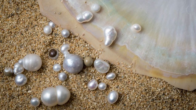 Beach Pearls