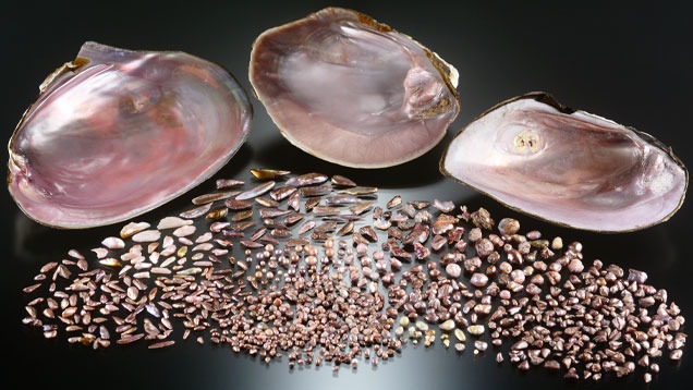 Freshwater Pearls